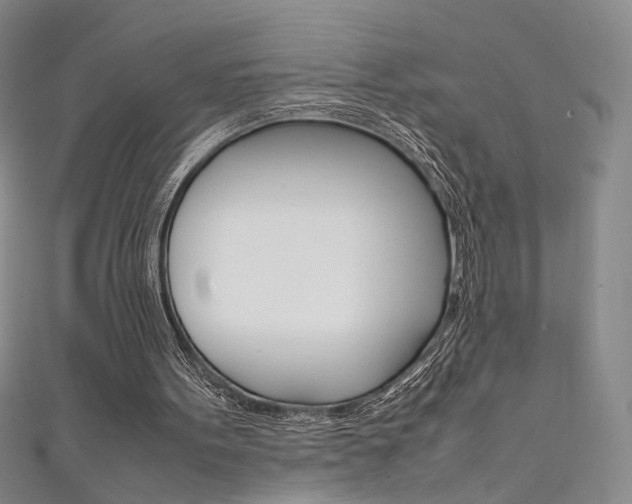 X0000111650099200907171107