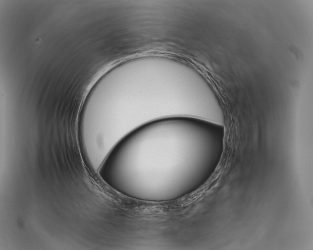 X0000111650100200907171107