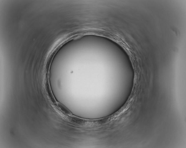 X0000111650101200907171107