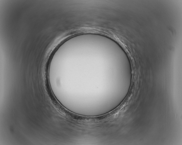 X0000111650103200907171107