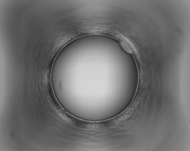 X0000111650105200907171107