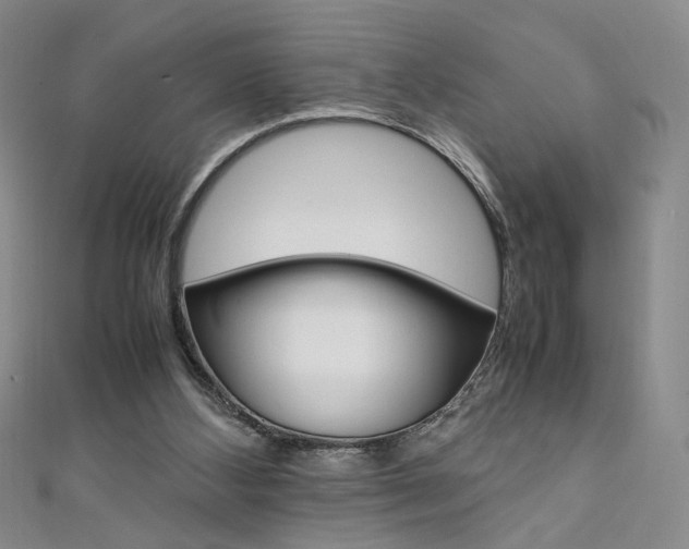 X0000111650108200907171107