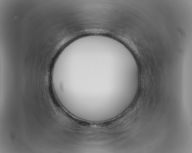 X0000111650111200907171107