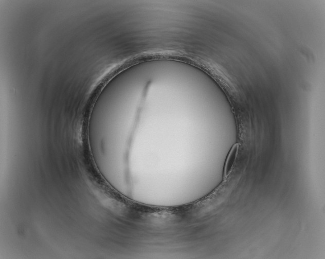 X0000111650112200907171107