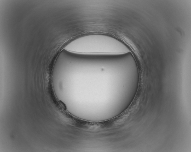 X0000111650113200907171107