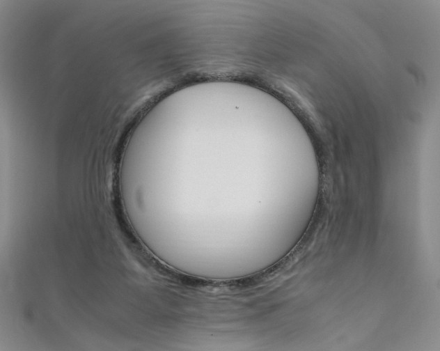 X0000111650115200907171107