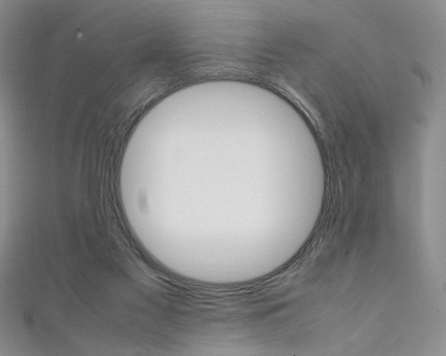 X0000111650117200907171107