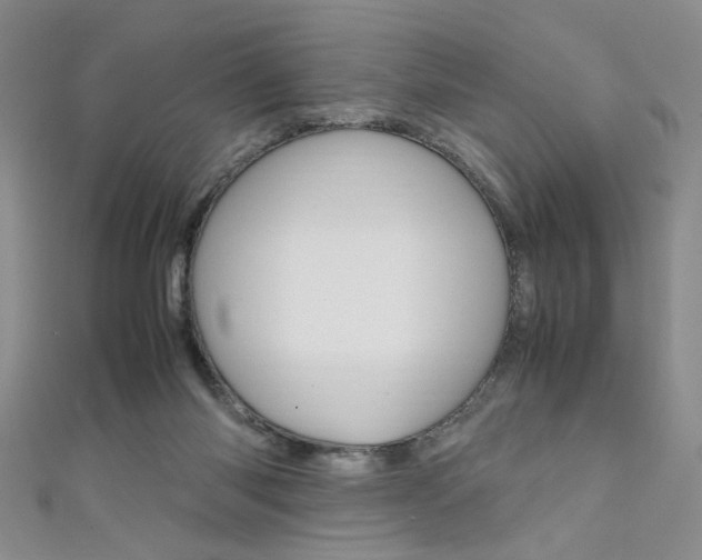X0000111650118200907171107