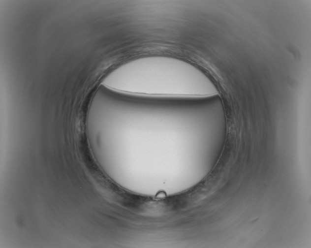 X0000111650119200907171107