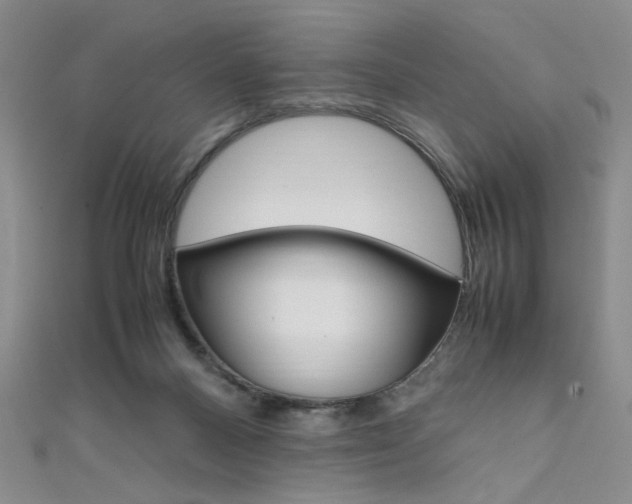 X0000111650120200907171107