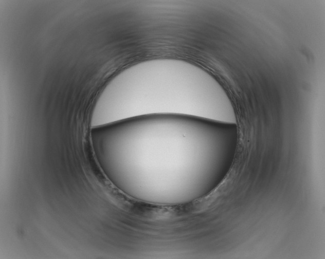 X0000111650124200907171107