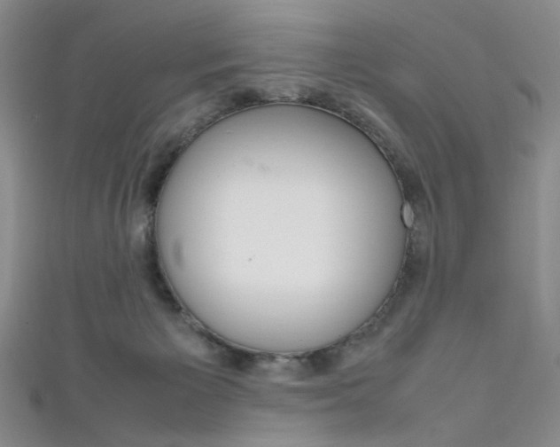 X0000111650125200907171107
