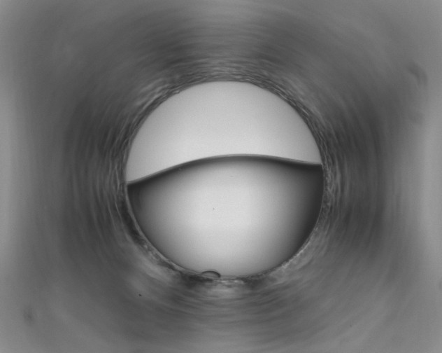 X0000111650128200907171107