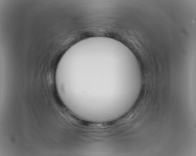 X0000111650131200907171107