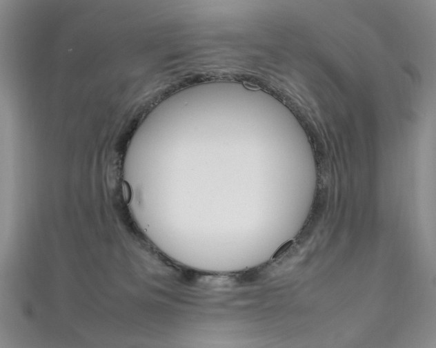 X0000111650133200907171107