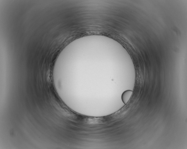 X0000111650134200907171107