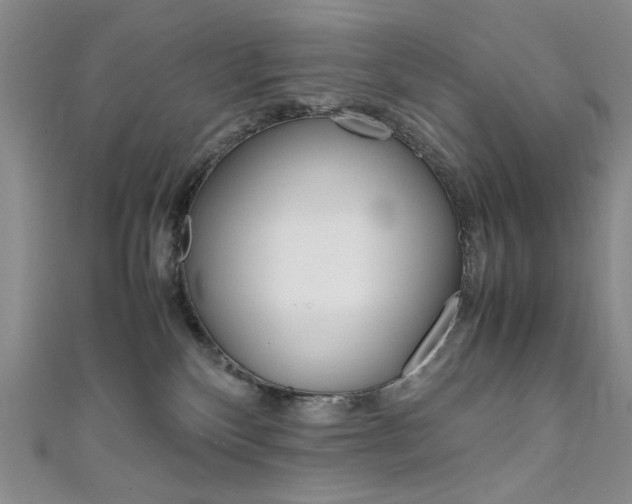 X0000111650136200907171107