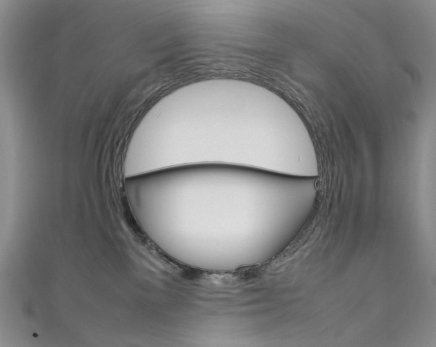 X0000111650137200907171107