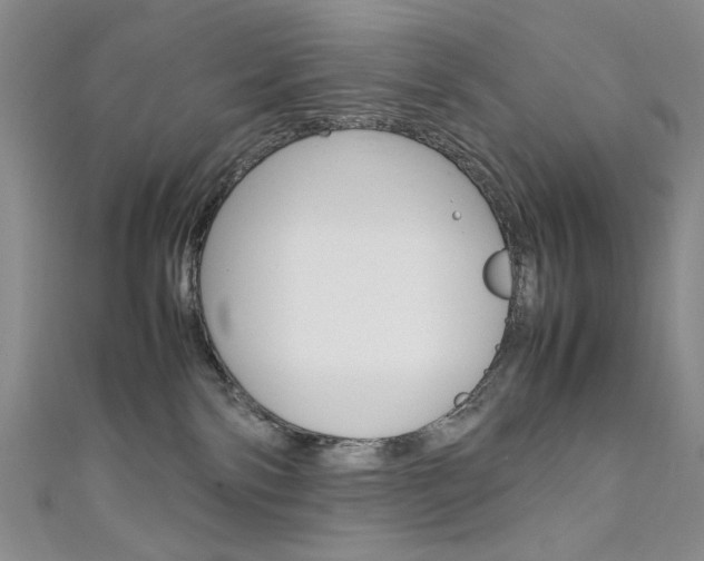 X0000111650138200907171107