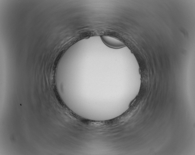 X0000111650139200907171107