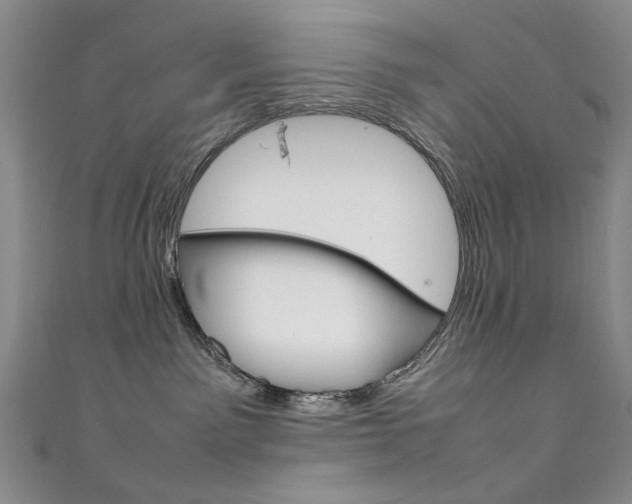 X0000111650141200907171107