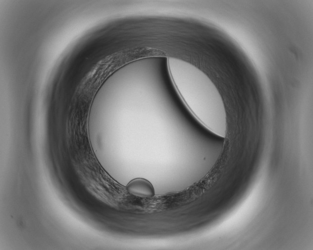 X0000111650143200907171107