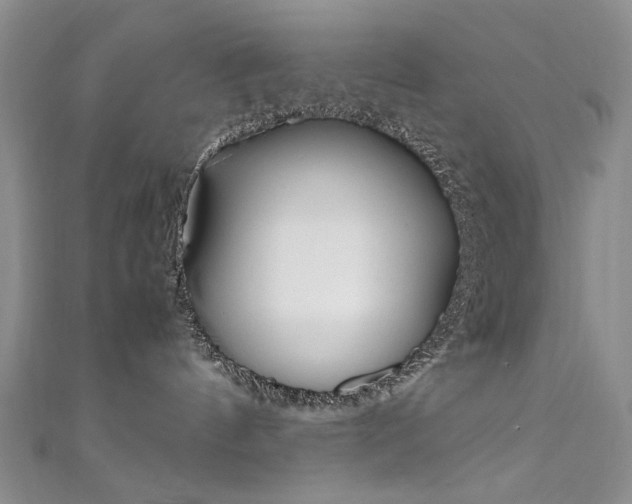 X0000111650144200907171107