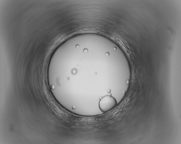 X0000111650145200907171106