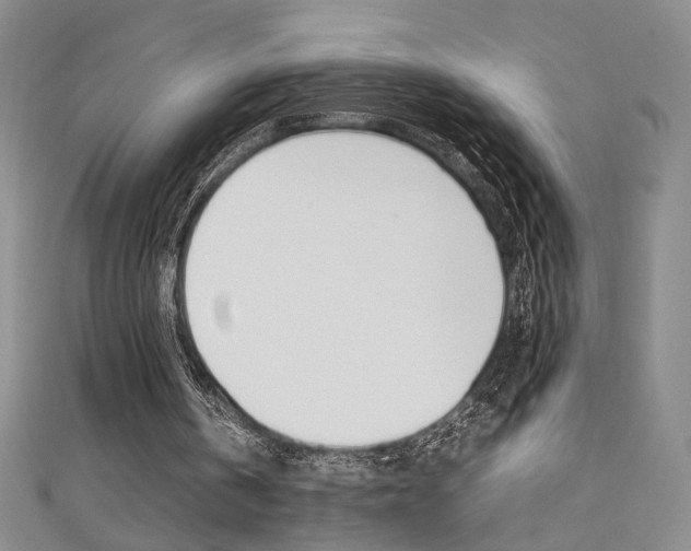 X0000111650146200907171106