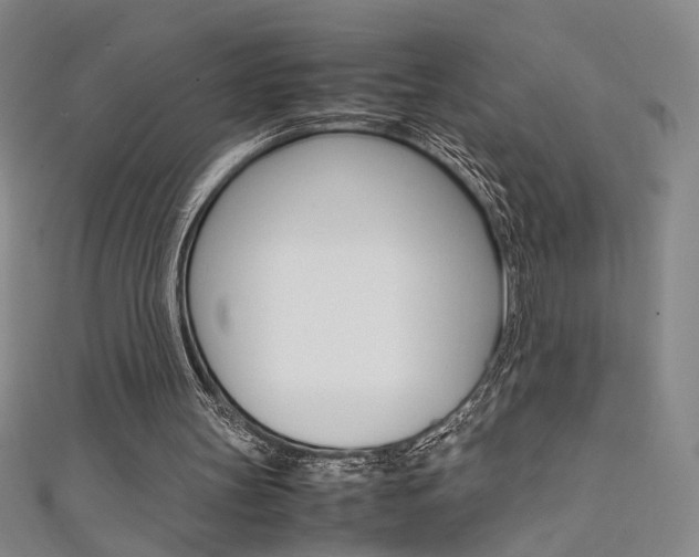 X0000111650147200907171106