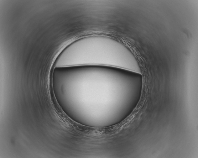 X0000111650148200907171106