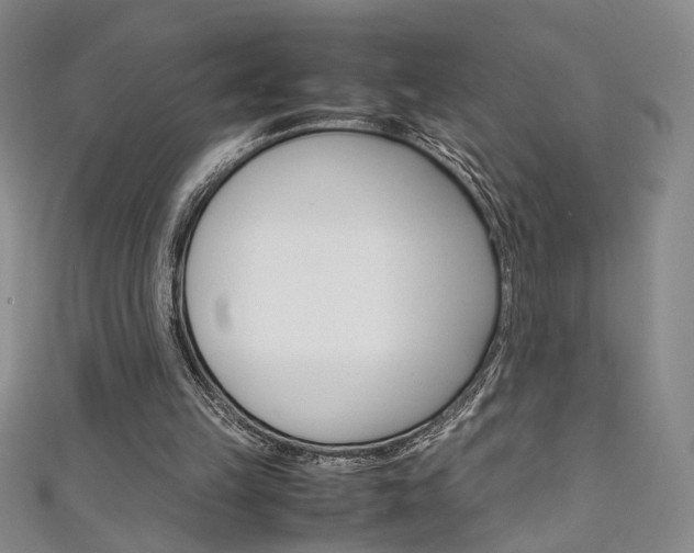 X0000111650149200907171106