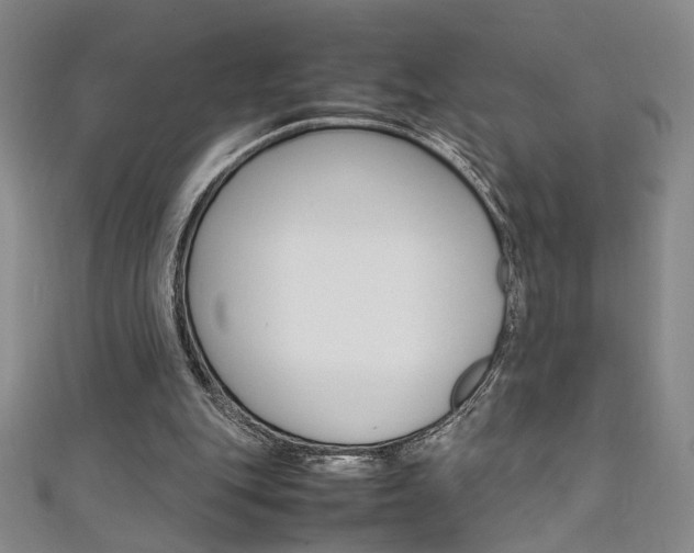 X0000111650151200907171106