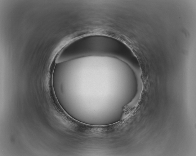 X0000111650152200907171106