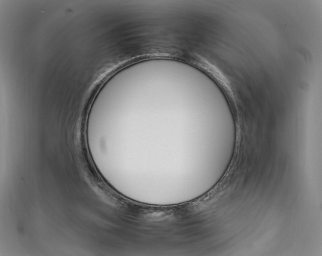 X0000111650155200907171106