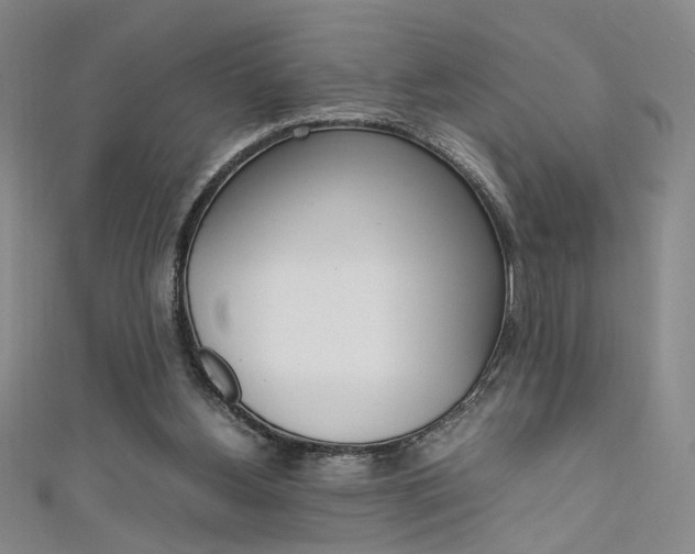 X0000111650156200907171106