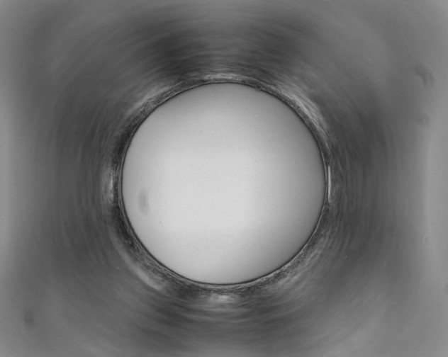 X0000111650157200907171106