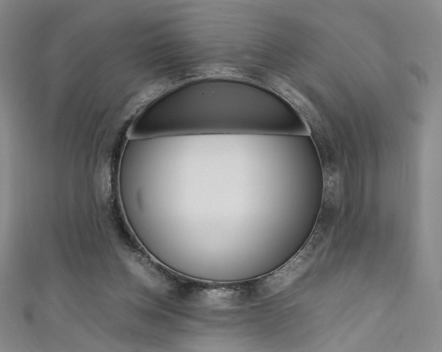 X0000111650158200907171106