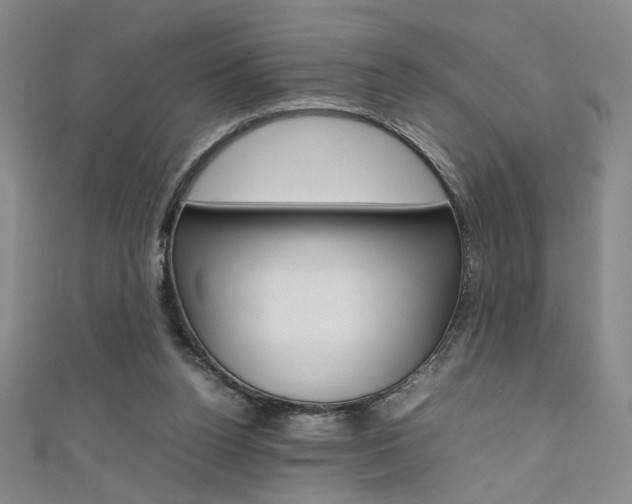 X0000111650160200907171106
