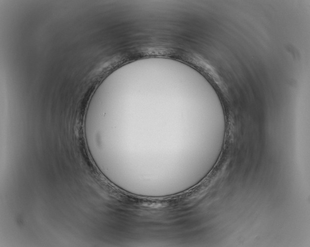 X0000111650161200907171106