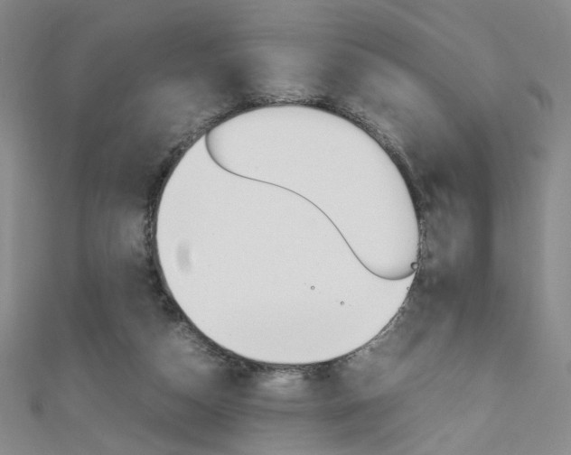 X0000111650162200907171106