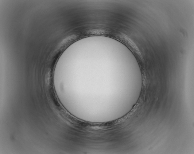 X0000111650163200907171106