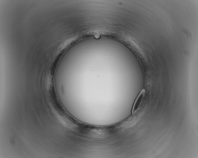 X0000111650164200907171106
