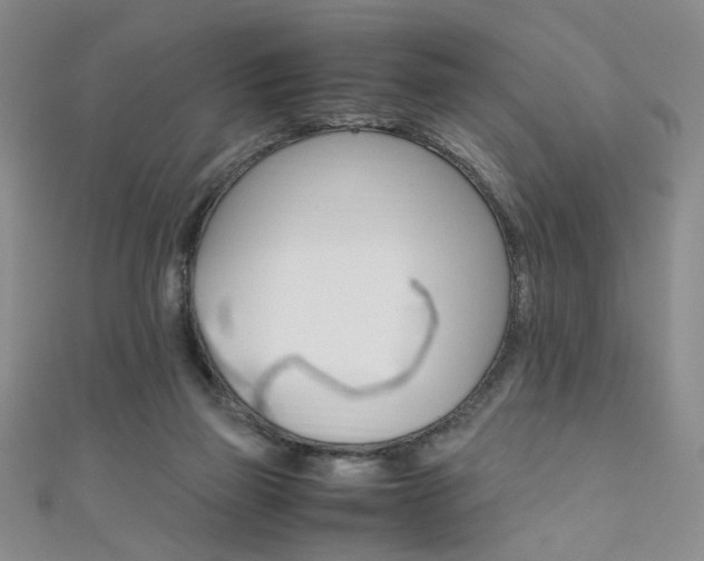 X0000111650165200907171106