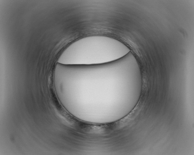 X0000111650166200907171106