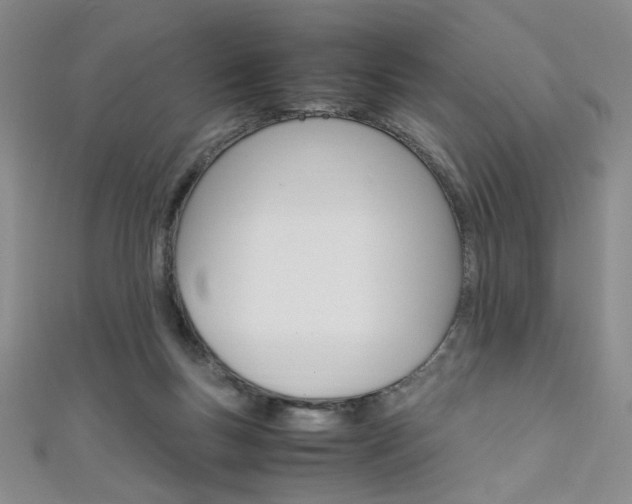 X0000111650167200907171106