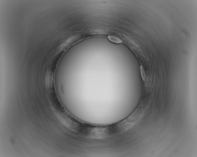 X0000111650168200907171106