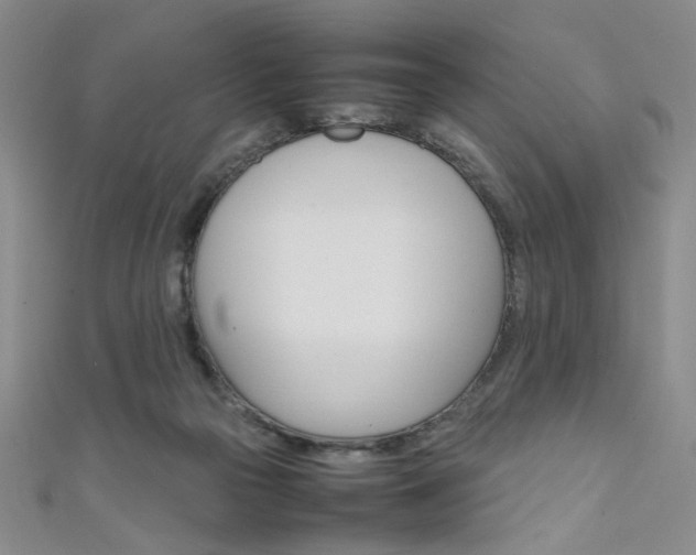 X0000111650169200907171106