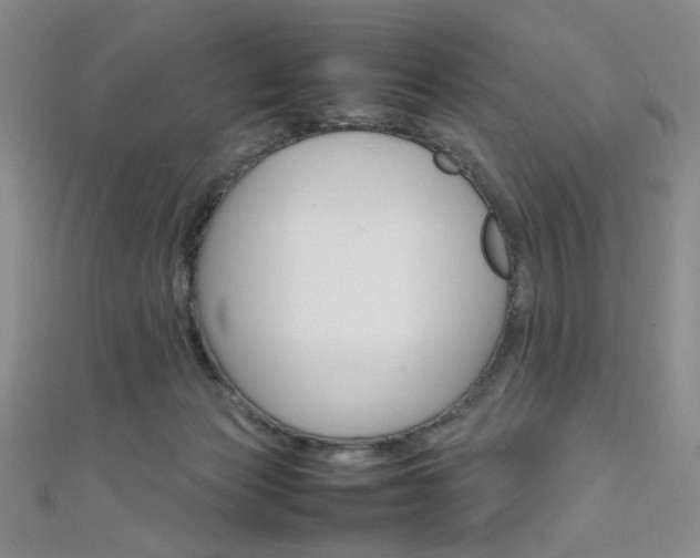 X0000111650173200907171106