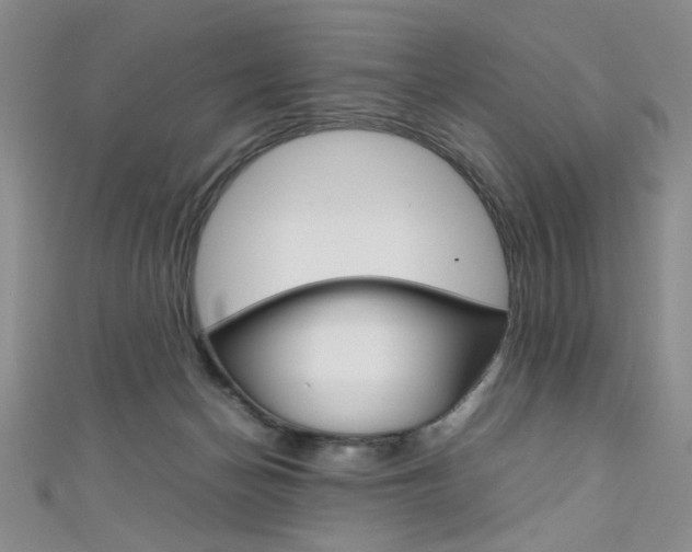 X0000111650174200907171106